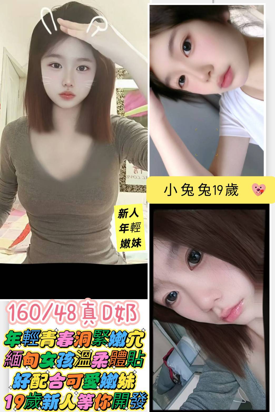 台南定點茶/小兔兔