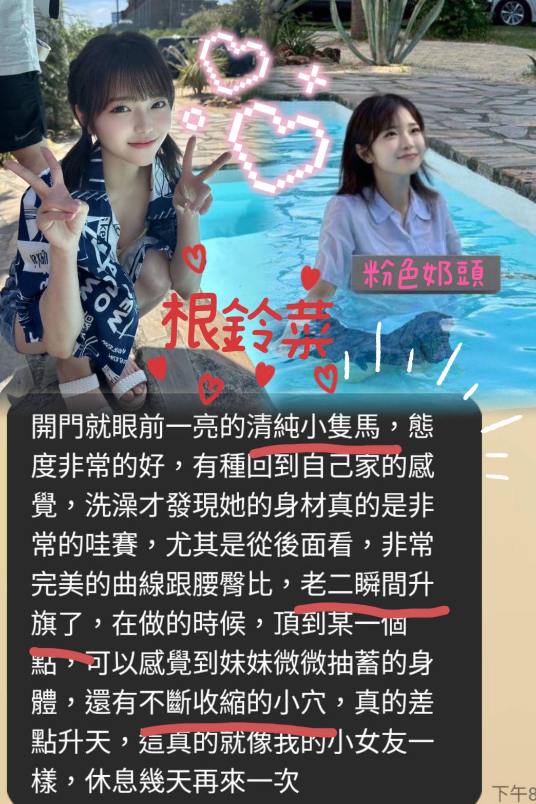 台南定點茶/根鈴菜