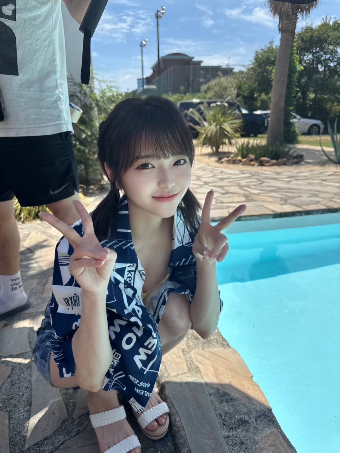 台南定點茶/根鈴菜