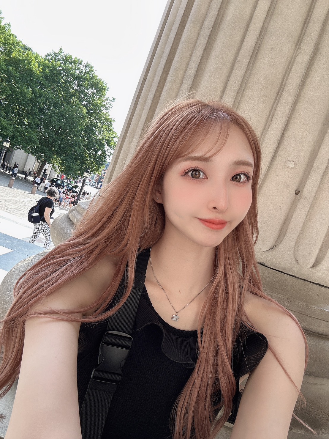 高雄定點茶/黑紗璃